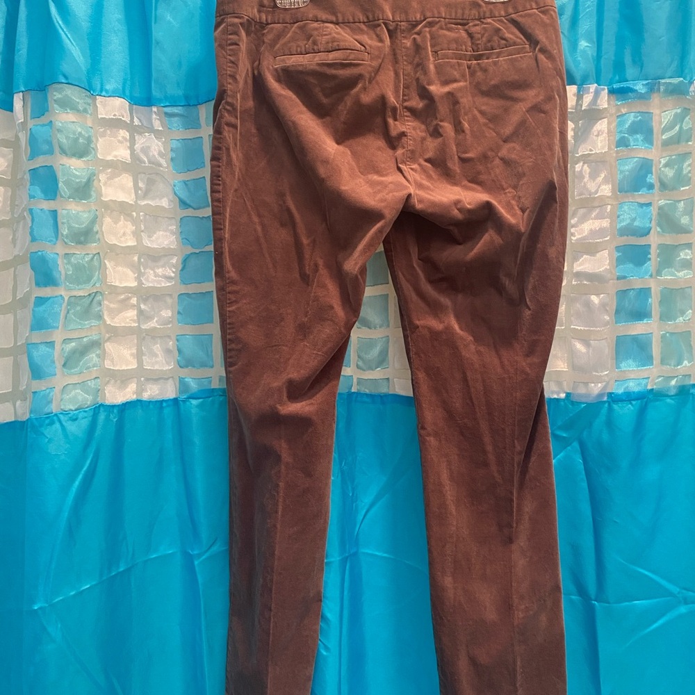 Ann Taylor Brown faux velvet pants